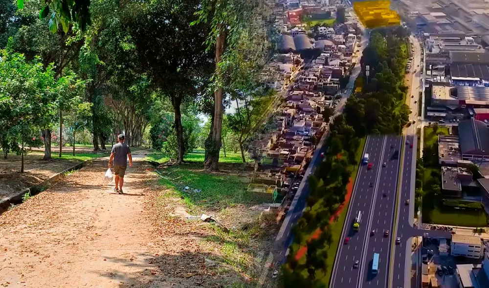 Cientos de árboles serán talados para la construcción de la autopista. Foto: composición LR/Nancy Catacora/Proinversión