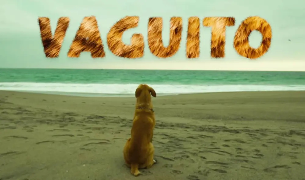 Julián Legaspi será el protagonista de ‘Vaguito’, la conmovedora cinta de amor de un perro hacia su dueño. Foto: Bamboo Pictures Julián Legaspi será el protagonista de ‘Vaguito’, la conmovedora cinta de amor de un perro hacia su dueño. Foto: Bamboo Pictures