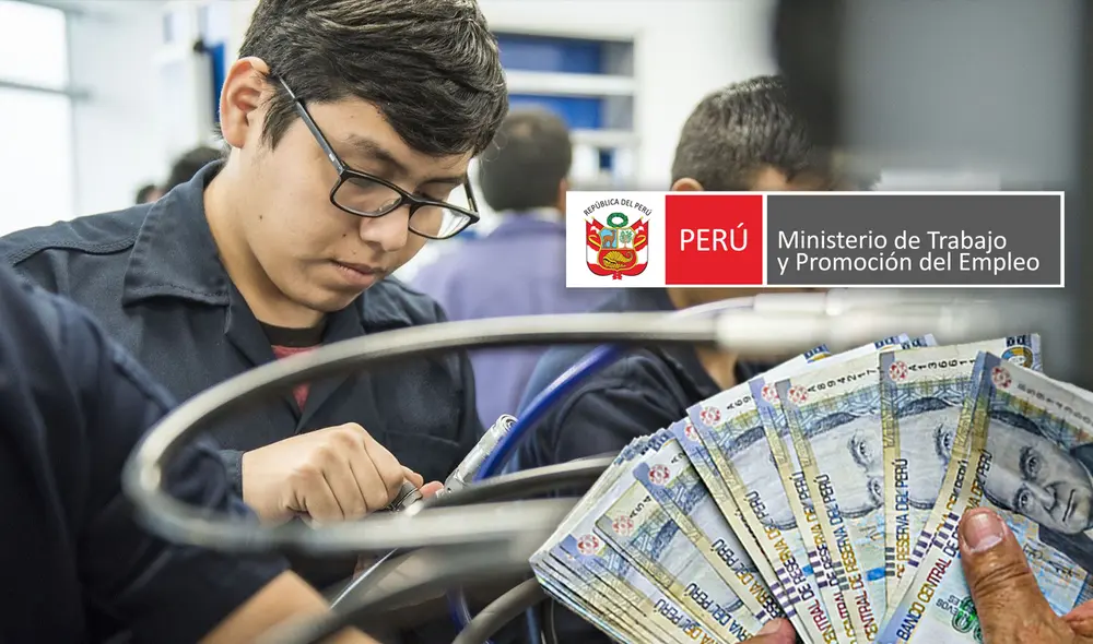 Un total de 5 institutos públicos en el Perú ofrecen esta carrera técnica de manera gratuita. Foto: Agencia Andina/ MTPE Un total de 5 institutos públicos en el Perú ofrecen esta carrera técnica de manera gratuita. Foto: Agencia Andina/ MTPE