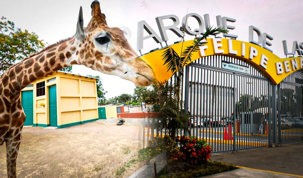 El parque busca profesionales interesados en Arquitectura y Educación. Foto: composiciónLR/Andina