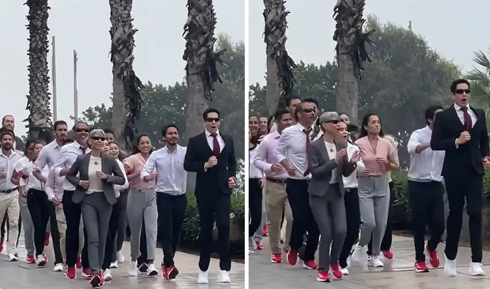 Clip viral posee 90.000 visualizaciones en TikTok. Foto: TikTok - Video: TikTok