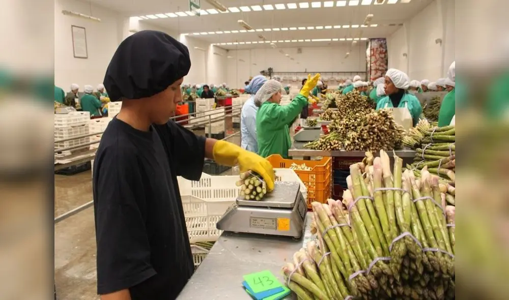 Se espera que este año el Perú recaude US$10.525 millones en agroexportaciones. Fuente: Andina