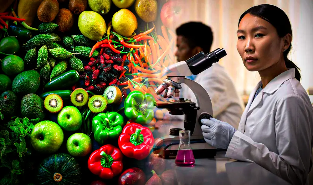 Este superalimento es originario de Europa y Asia Central. Foto: Composición LR/ Fitia / Gadeciencia