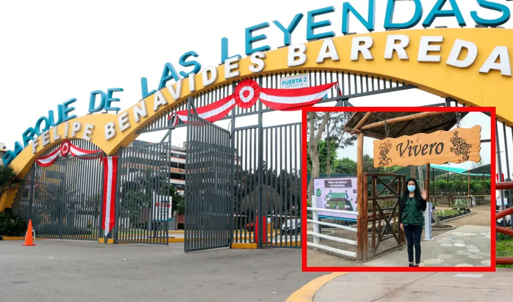 Iniciativa busca involucrar a la comunidad. Foto: composición LR/Difusión