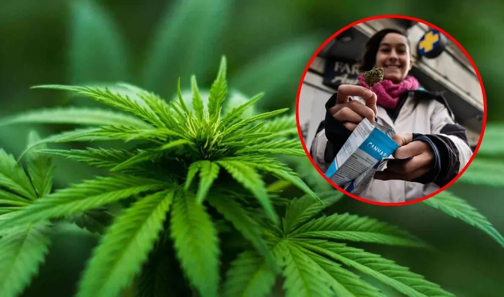 Para ciertos colectivos, la marihuana se asocia con la creatividad, la expresión artística y la espiritualidad. Foto: composición LR/Andina