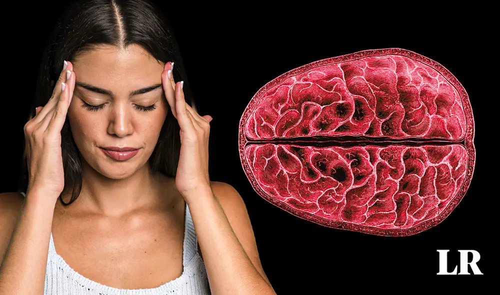 Un informe de la Universidad de California revela como el ciclo menstrual afecta la estructura cerebral de las mujeres. Composición: LR