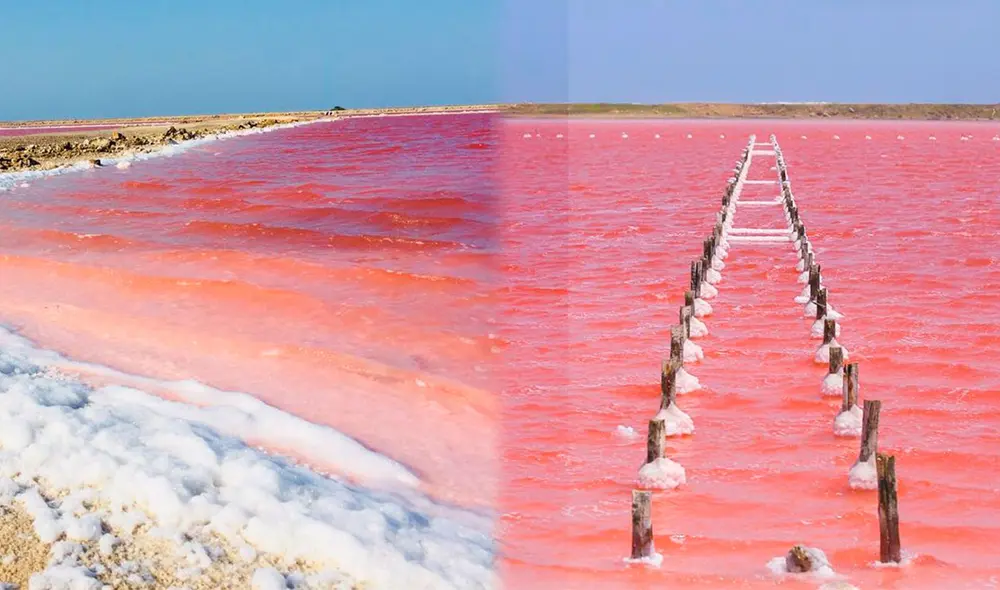 Las salinas de Galerazamba poseen el color rosa debido a la alta concentración salina y la presencia de microalgas marinas que producen betacaroteno. Foto: Composición LR/Expotur/El Heraldo
