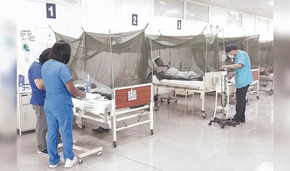 Los casos de dengue siguen en aumento. Foto: Marco Cotrina. Los casos de dengue siguen en aumento. Foto: Marco Cotrina.