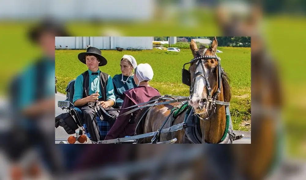 Familia amish paseando en un carruaje con caballos. Foto: CiviatiNY Familia amish paseando en un carruaje con caballos. Foto: CiviatiNY