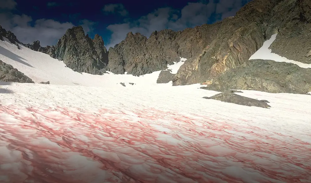El fenómeno de la nieve de sandía es un evento que sorprende a todos los turistas alrededor del mundo y que se puede apreciar en el estado de California, Estados Unidos. Foto: National Geographic