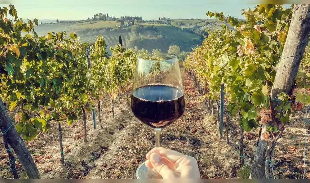 La zona central de Chile presenta características únicas para dar vida a los mejores y más destacados vinos del mundo. Foto: Cometo.cl