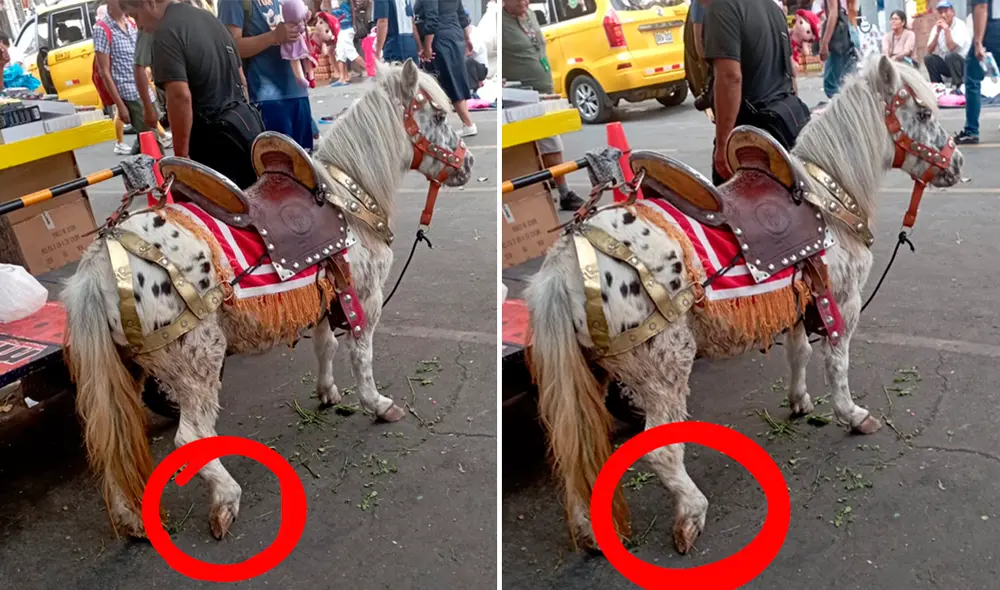 Los usuarios mostraron su indignación en redes. Foto: composiciónLR/Alex Febrero/X Los usuarios mostraron su indignación en redes. Foto: composiciónLR/Alex Febrero/X