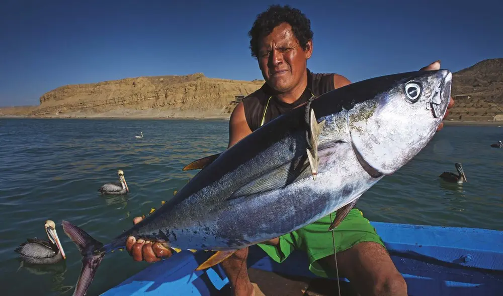 La iniciativa contribuye a la Meta 3 del Marco Global sobre Diversidad Biológica. Foto: Gobierno del Perú