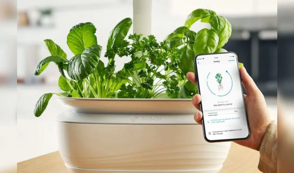 Al elegir un huerto inteligente, es fundamental considerar el espacio disponible y seleccionar las plantas adecuadas según tus preferencias y las condiciones del entorno. Foto: Bosch Al elegir un huerto inteligente, es fundamental considerar el espacio disponible y seleccionar las plantas adecuadas según tus preferencias y las condiciones del entorno. Foto: Bosch