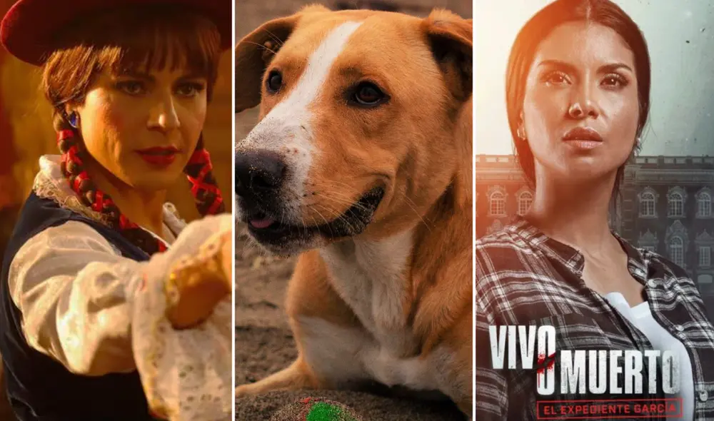 Al 26 de abril, hay cinco películas peruanas disponibles en los cines a nivel nacional, incluyendo 'Vaguito', 'Vivo o muerto' y 'Chabuca'. Foto: composición LR/Tondero/Bamboo Pictures/Jungle Pictures