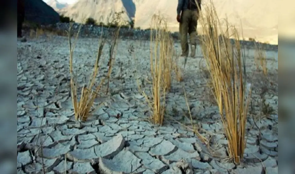 “Es imperativo no solo responder a las emergencias actuales, sino también prepararnos para las futuras, fortaleciendo nuestras capacidades para prevenir y mitigar sus impactos a través de un enfoque holístico”.