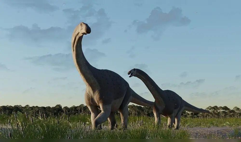 El ejemplar data de finales del periodo Cretácico, una edad que precedió a la extinción masiva. Foto: National Geographic