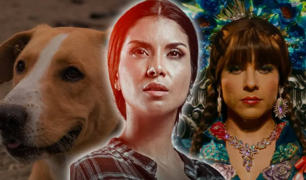 Stephany Orúe no solo encabeza el elenco de ‘Vivo o muerto’, sino que también se prepara para lanzarse como cantante. Foto: composición LR/Jungle Pictures/Instagram Vaguito/Tondero Stephany Orúe no solo encabeza el elenco de ‘Vivo o muerto’, sino que también se prepara para lanzarse como cantante. Foto: composición LR/Jungle Pictures/Instagram Vaguito/Tondero