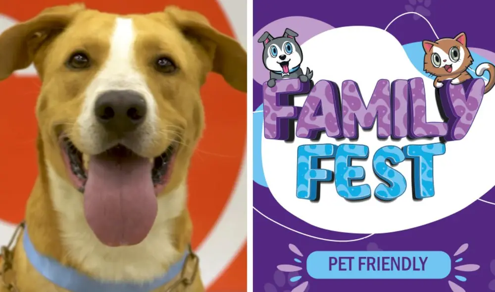 'Vaguito': el perro actor estará en el evento Family Fest de la Municipalidad de Lima. Foto: composición LR/ Joinnus/ 'Vaguito'/Instagram