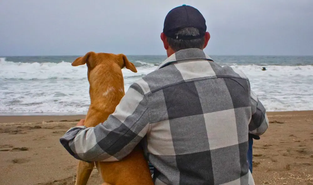 ‘Vaguito’ inició su segunda semana en cartelera con más de 30.000 espectadores, con lo que llega a la cifra de 203.000 personas desde su estreno. Foto: Facebook Cinecolor Group ‘Vaguito’ inició su segunda semana en cartelera con más de 30.000 espectadores, con lo que llega a la cifra de 203.000 personas desde su estreno. Foto: Facebook Cinecolor Group