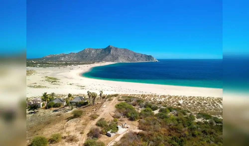 Los Cabos es hogar de más de 800 especies marinas, 500 tipos de cactáceas y un sinfín de animales desérticos como correcaminos y zorros endémicos. Foto: Los Cabos Travel Los Cabos es hogar de más de 800 especies marinas, 500 tipos de cactáceas y un sinfín de animales desérticos como correcaminos y zorros endémicos. Foto: Los Cabos Travel