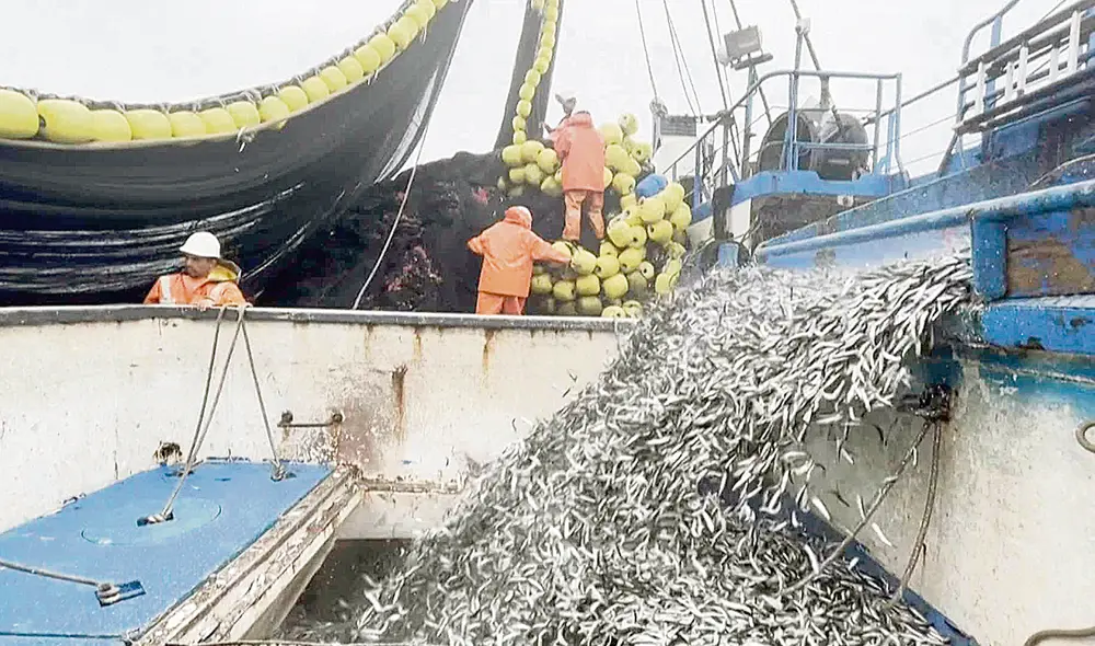 Se capturó 530.000 TM de anchoveta hasta el 25 de abril. Foto: difusión