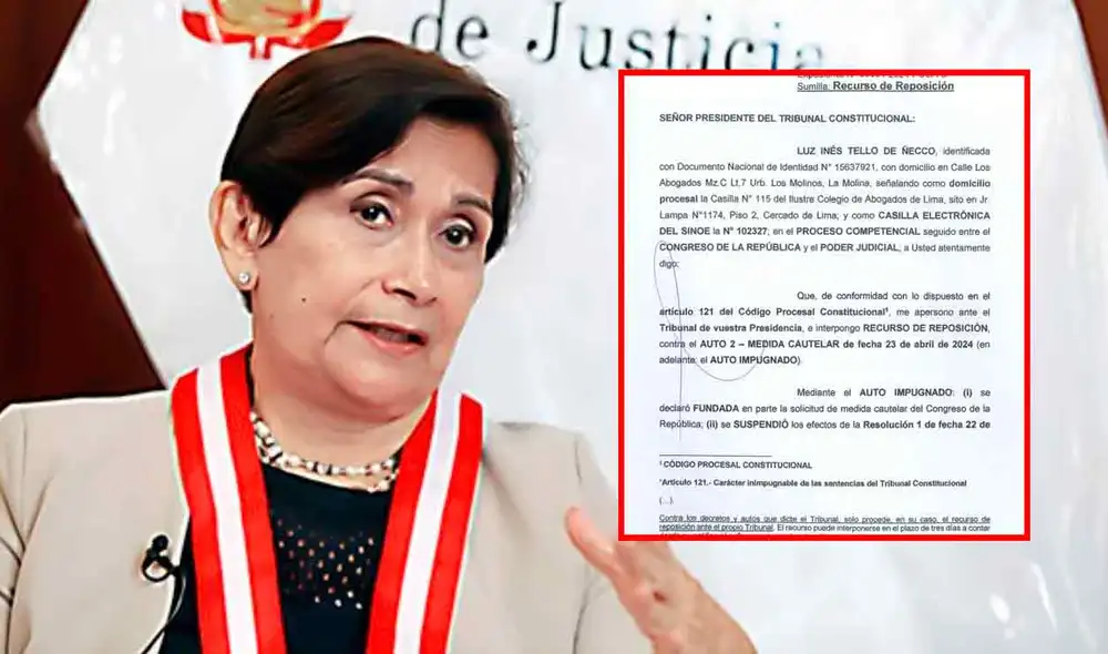 Tribunal Constitucional deberá revisar nuevo recurso presentado por Inés Tello. Foto: composición LR/Andina