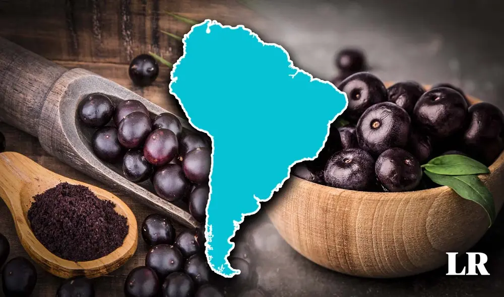 La exportación de esta fruta sudamericana pasó de 60 kg en 1999 a más de 15.000 toneladas en 2021. Foto: composición LR/iStock/Etsy