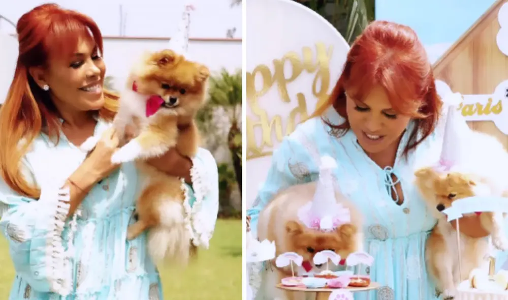 Magaly Medina adoptó a sus tres perros hace un año. Foto: Composición LR/Magaly Medina/Instagram