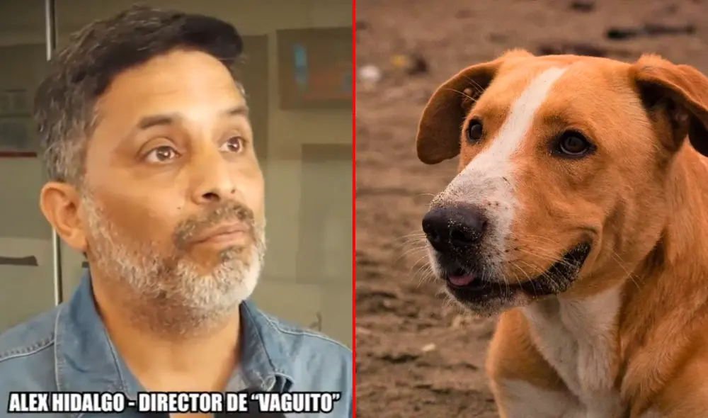 Además de dirigir ‘Vaguito’, Alex Hidalgo también estuvo al frente de películas como ‘Sueños de gloria’, ‘El gran criollo’ y ‘Nasca Yuukai’. Foto: composición LR/Willax/Instagram Alex Hidalgo