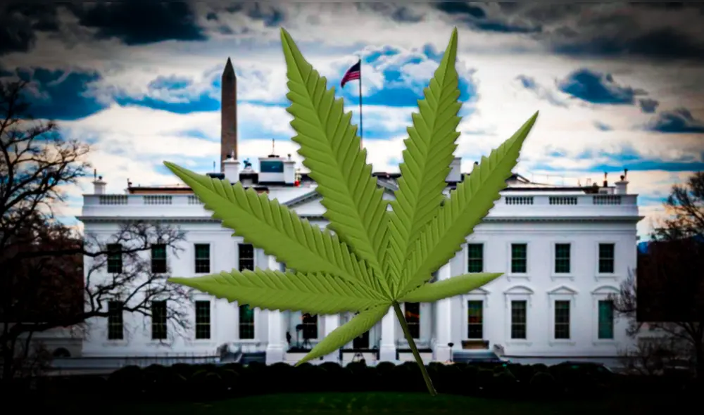 La DEA ha planteado cambiar a categoría 3 el cannabis. Foto: Composición LR | Free 3D | AFP La DEA ha planteado cambiar a categoría 3 el cannabis. Foto: Composición LR | Free 3D | AFP