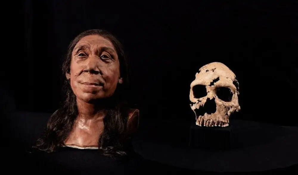 Este logro aporta una imagen más humana y detallada de nuestros antiguos parientes. Foto: CNN Español