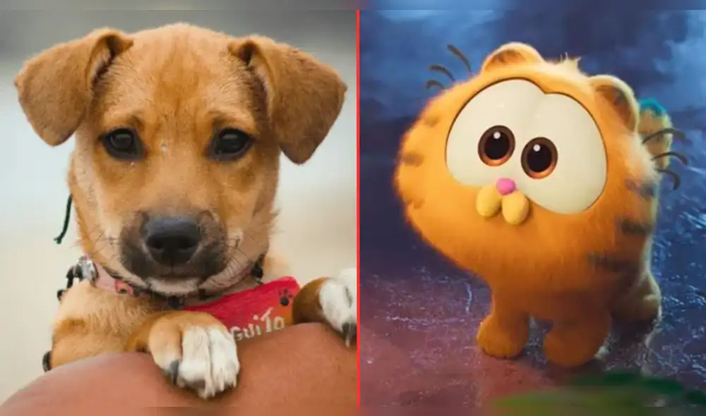 Película peruana 'Vaguito' amada a nivel nacional por el público. Foto: composición/LR/difusión