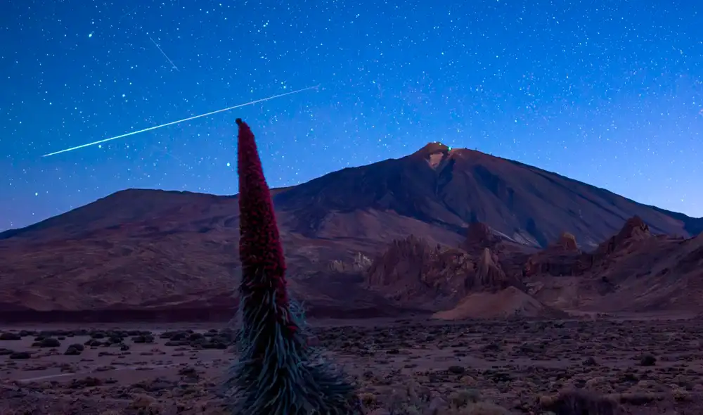 Sigue el paso de la lluvia de estrellas en Sudamérica. Foto: Twitter / @skyportphoto