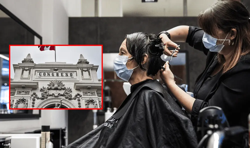 Según la exposición de motivos de la propuesta, se beneficiaría a más de 5.000 empresas del sector que están sujetas al IGV.  Foto: composición LR/Congreso