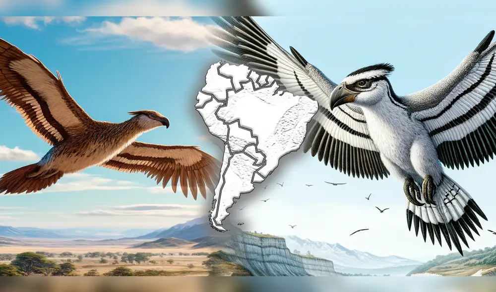 La ave prehístorica se encontraba en las pampas argentinas hace millones de años. Foto: Composición LR La ave prehístorica se encontraba en las pampas argentinas hace millones de años. Foto: Composición LR