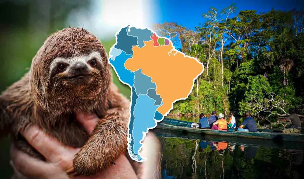 Solo 17 países cuentan con la mayor diversidad del mundo, la cual abarca el 10% de la superficie de la tierra. Descubre cuáles son y en dónde se ubican. Foto: composición LR/Treehouse Lodge/Andean Great Treks Solo 17 países cuentan con la mayor diversidad del mundo, la cual abarca el 10% de la superficie de la tierra. Descubre cuáles son y en dónde se ubican. Foto: composición LR/Treehouse Lodge/Andean Great Treks