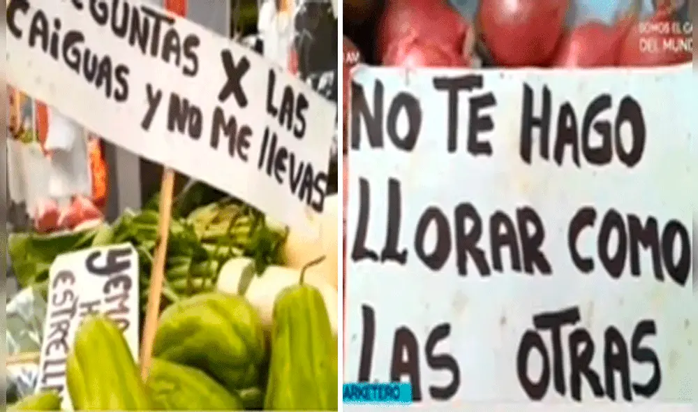 Las imágenes sacaron más de una sonrisa en redes sociales. Foto: composición LR/TikTok/@estudio31marketing Las imágenes sacaron más de una sonrisa en redes sociales. Foto: composición LR/TikTok/@estudio31marketing