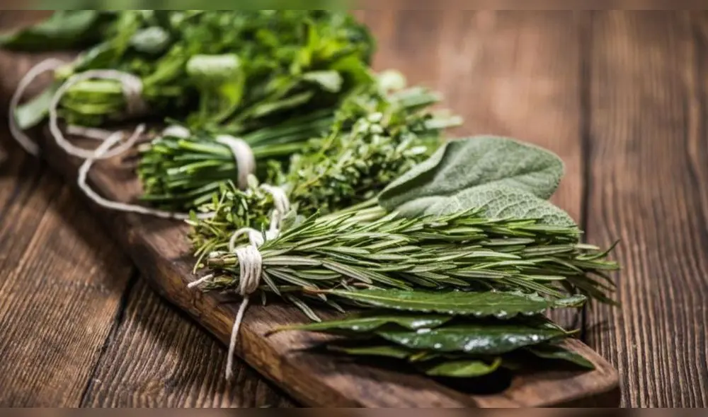 Hierbas aromáticas imprescindibles para cocinar en estas fiestas. Foto: Hogar Manía Hierbas aromáticas imprescindibles para cocinar en estas fiestas. Foto: Hogar Manía
