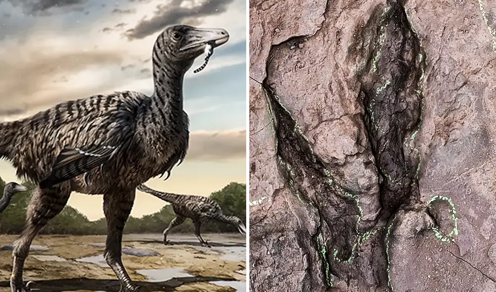 La huella de dos dedos era más grande que las de su tipo. Foto: Lida Xing et al. La huella de dos dedos era más grande que las de su tipo. Foto: Lida Xing et al.