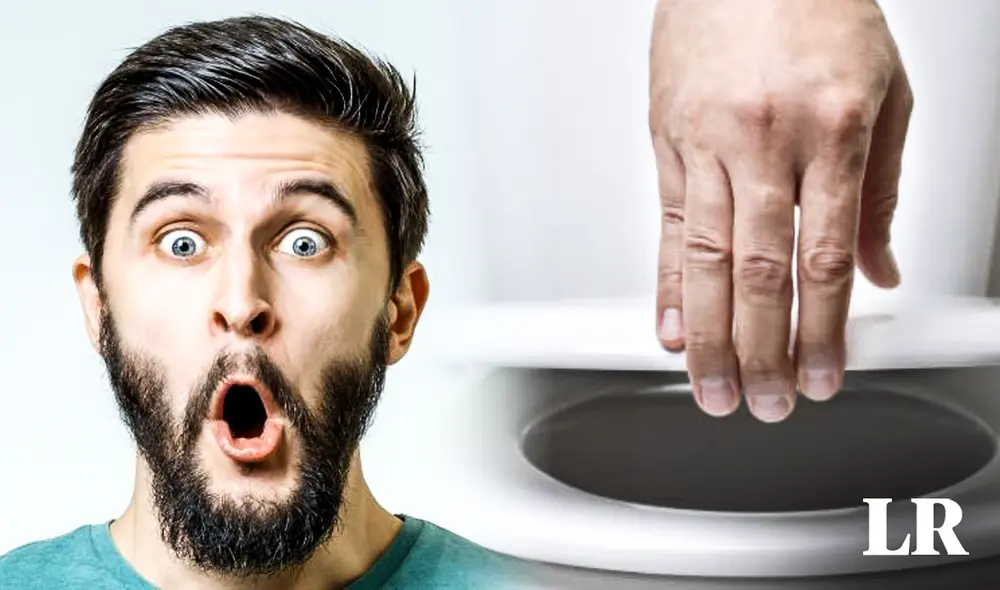 Bajar la tapa del inodoro puede salvar tu vida. Foto: Composición LR/ La Vanguardia