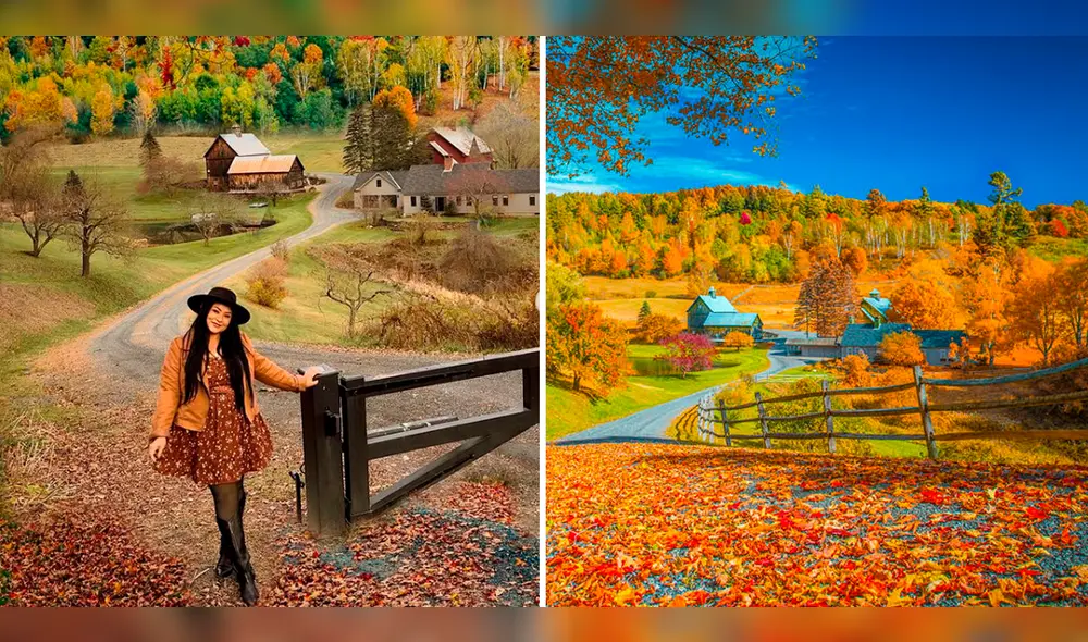 Pomfret se volvió un destino atractivo para los creadores de contenido durante el otoño. Foto: composición LR/Devianart/whereisnellynow Pomfret se volvió un destino atractivo para los creadores de contenido durante el otoño. Foto: composición LR/Devianart/whereisnellynow