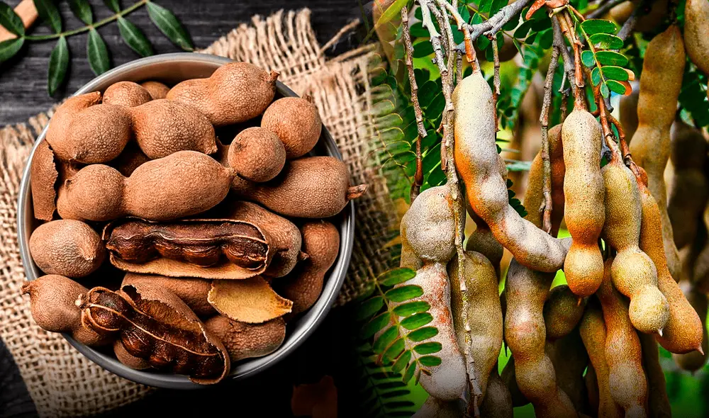 Su riqueza en potasio ayuda a disminuir la presión arterial, mientras que su fibra reduce los niveles de colesterol malo en la sangre. Foto: Composición LR/Mejor con Salud Su riqueza en potasio ayuda a disminuir la presión arterial, mientras que su fibra reduce los niveles de colesterol malo en la sangre. Foto: Composición LR/Mejor con Salud