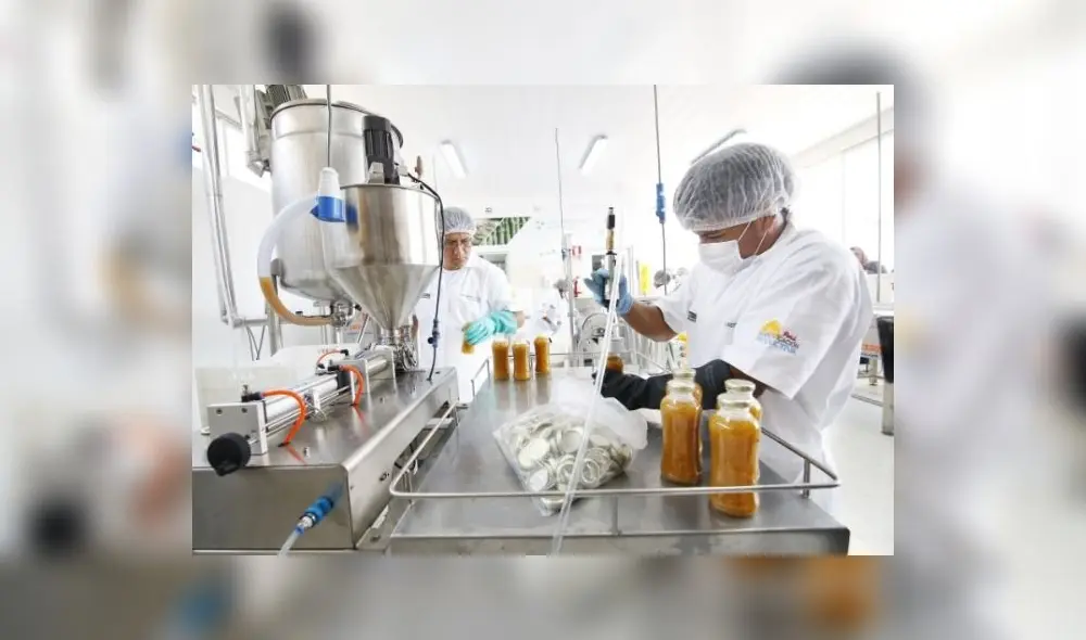 Las mypes peruanas conforman el 99,2% del tejido empresarial y representan el 21% del PBI nacional. Foto: difusión