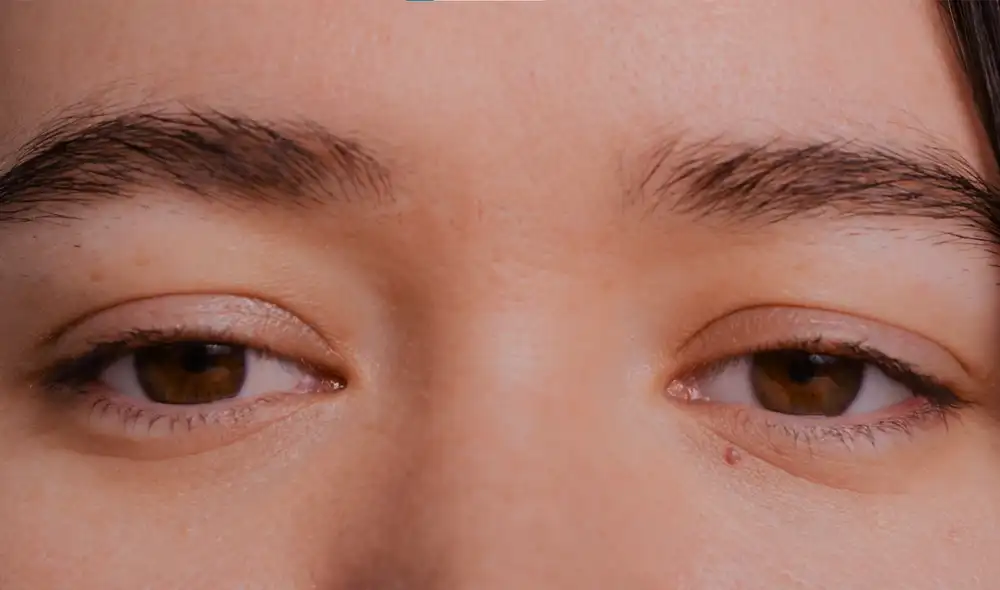 La nueva herramienta de accesibilidad llegaría con el iOS 18. Foto: Apple La nueva herramienta de accesibilidad llegaría con el iOS 18. Foto: Apple