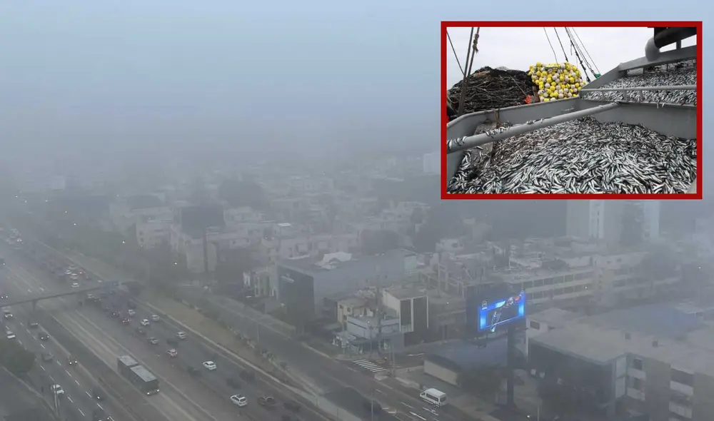 En la madrugada del 18 de junio, se reportó olor a pescado en Lima mediante redes sociales. Foto: John Reyes / Oceana / composición LR