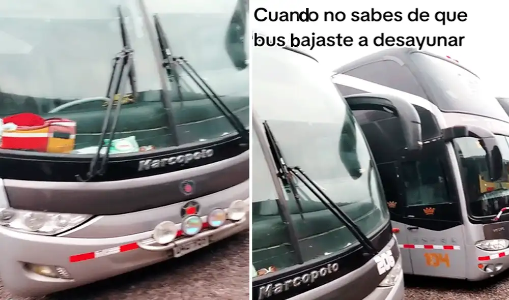Usuarios en redes sociales contaron las anécdotas que le sucedieron en los terminales terrestres. Foto: composición LR/TikTok/@jocope2514 Usuarios en redes sociales contaron las anécdotas que le sucedieron en los terminales terrestres. Foto: composición LR/TikTok/@jocope2514