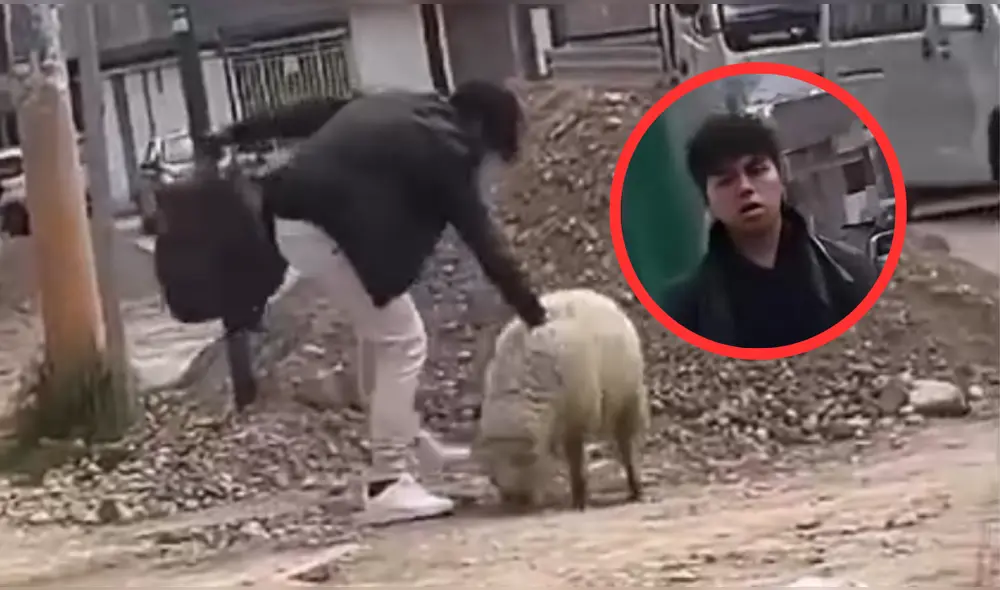 Sujeto fue visto golpeando a un animal en plena vía pública. Foto: Difusión