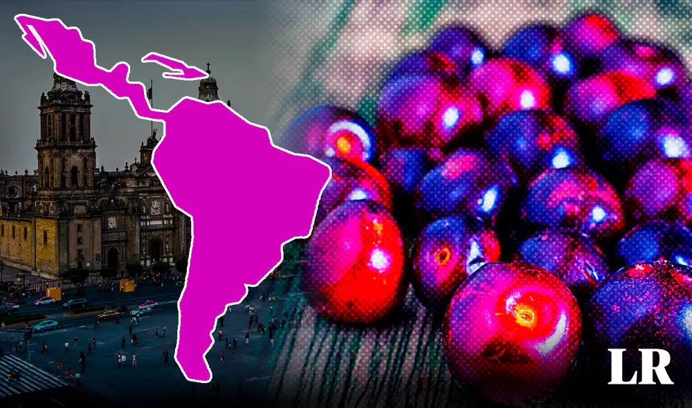 Esta fruta se convirtió en una importante fuente de alimento para los españoles durante la conquista. Foto: composición LR / Larousse Cocina / Exportou / PNGWing Esta fruta se convirtió en una importante fuente de alimento para los españoles durante la conquista. Foto: composición LR / Larousse Cocina / Exportou / PNGWing