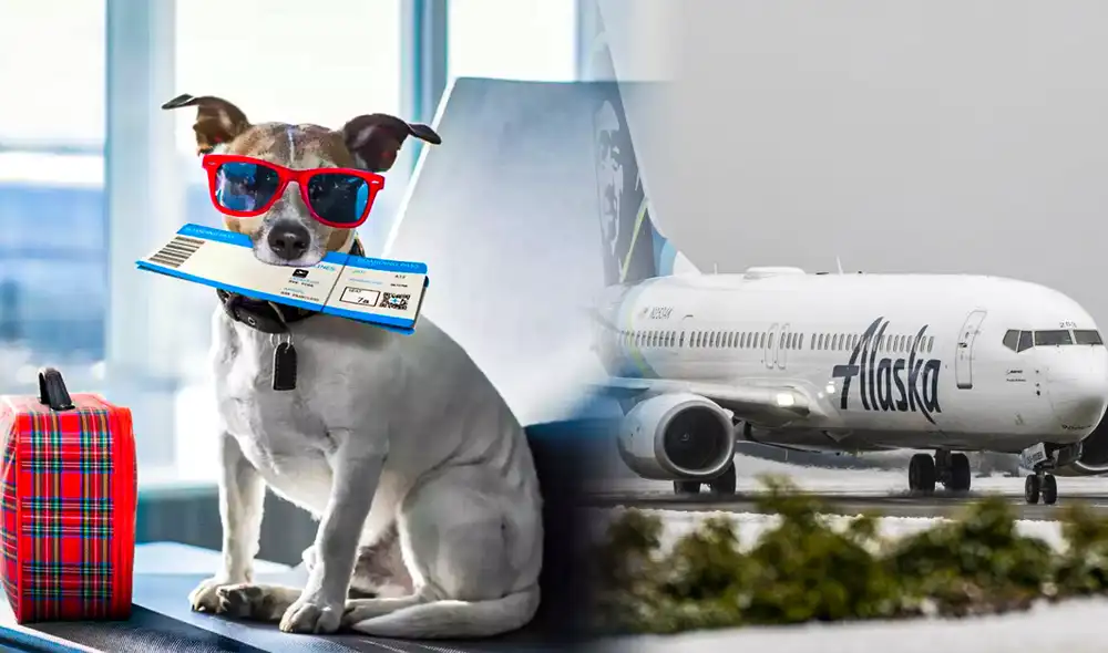 Tu fiel amigo necesitará cumplir unos pasos para poder acompañarte en tu viaje hacia Estados Unidos. Foto: composición LR/CNN